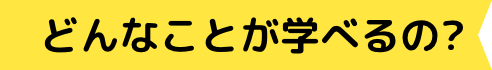 どんなことが学べるの?